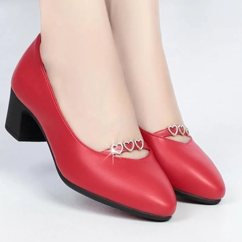 خفيفة الوزن أحذية كعب مربع مري - مراجعة Women Shoes Zara وسعره